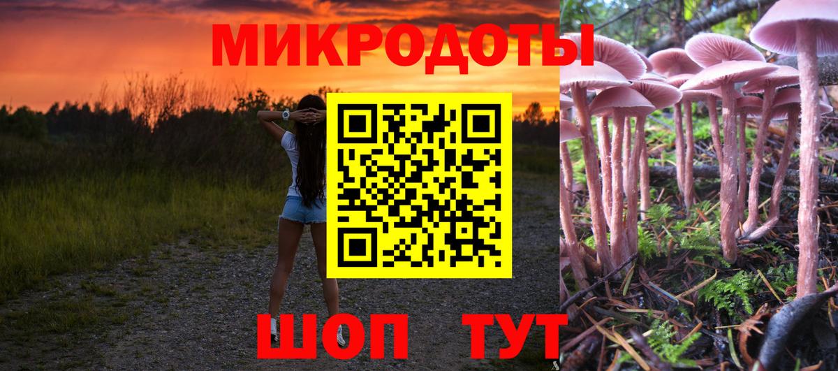 Владивосток  Галлюциногенные грибы Cubensis  Вход с VPN 